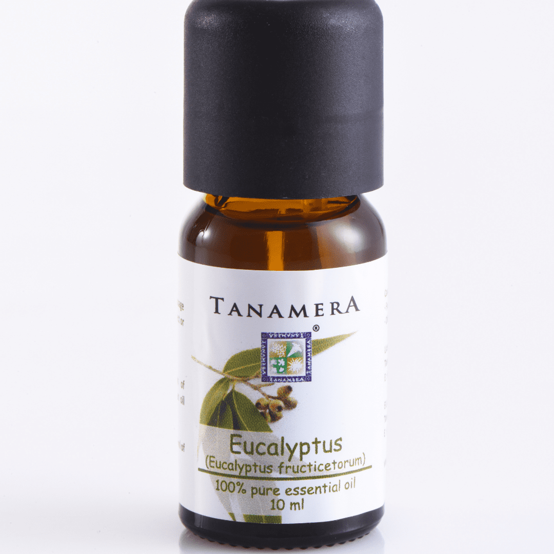 Eucalyptus_a79e3b8b-9fb5-487b-a05f-3dc419856258.png