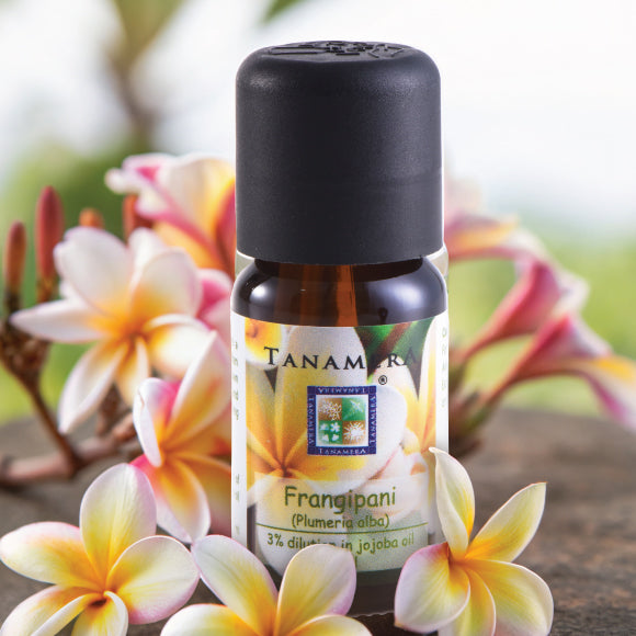 Frangipani-EO.jpg