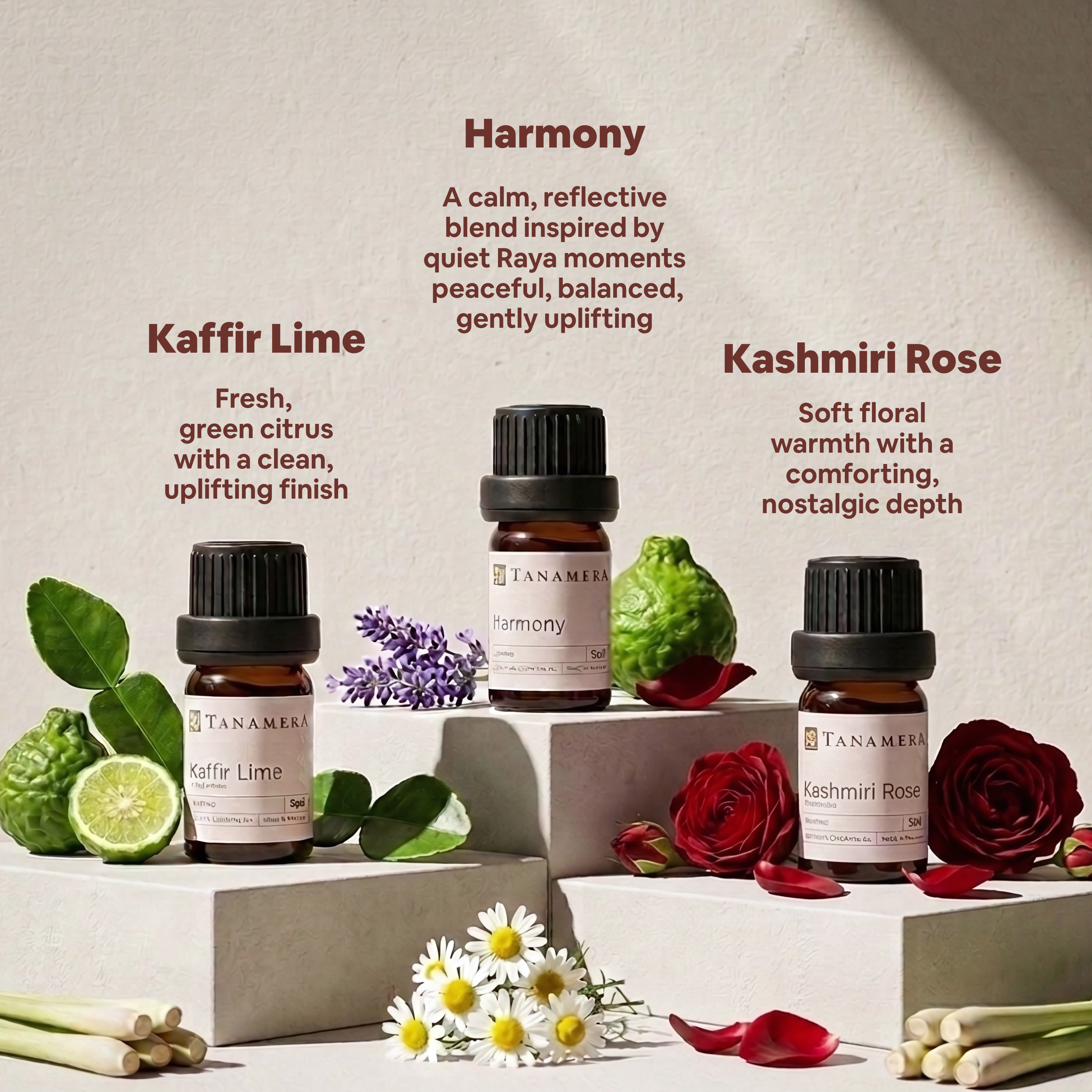 MemoriEOThumbnail-Products_jpg.png