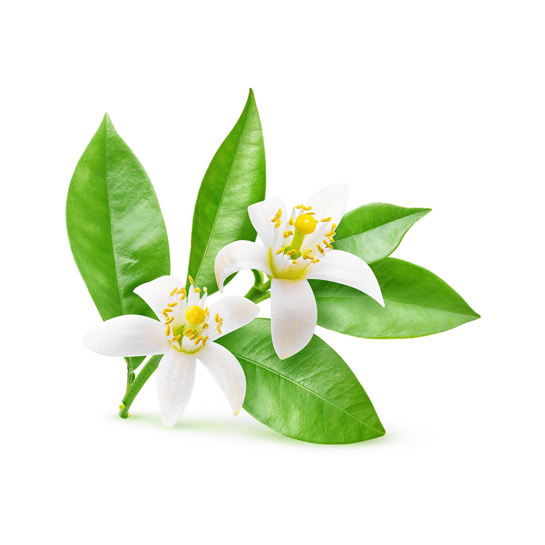 Neroli.jpg
