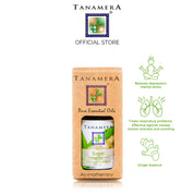 Ginger Essential Oil