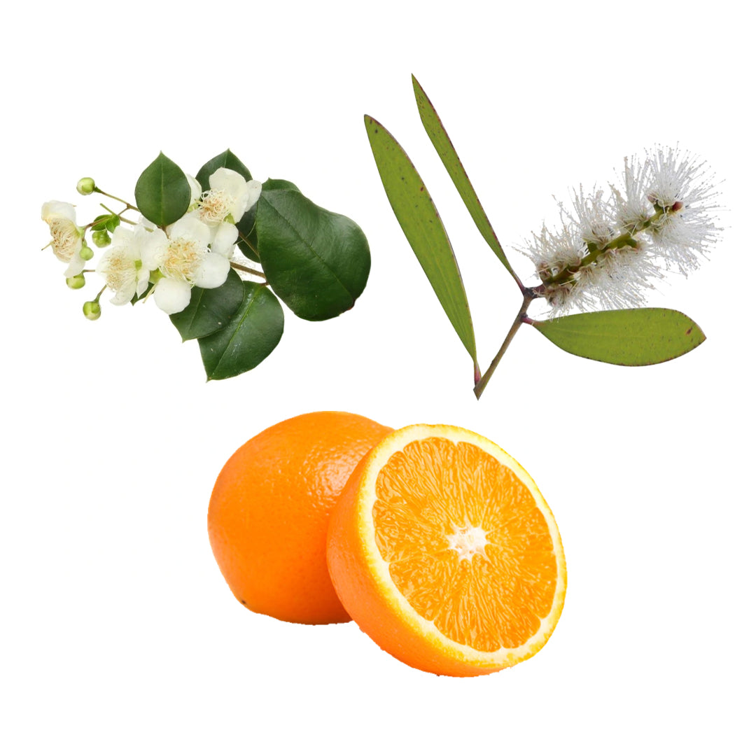 Uplifting-Blend.jpg