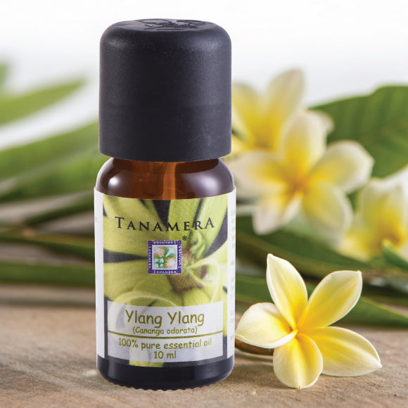 Ylang-Ylang-EO.jpg