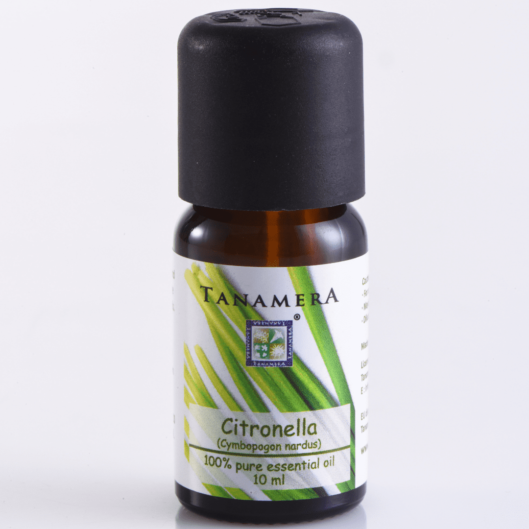 Citronella.png