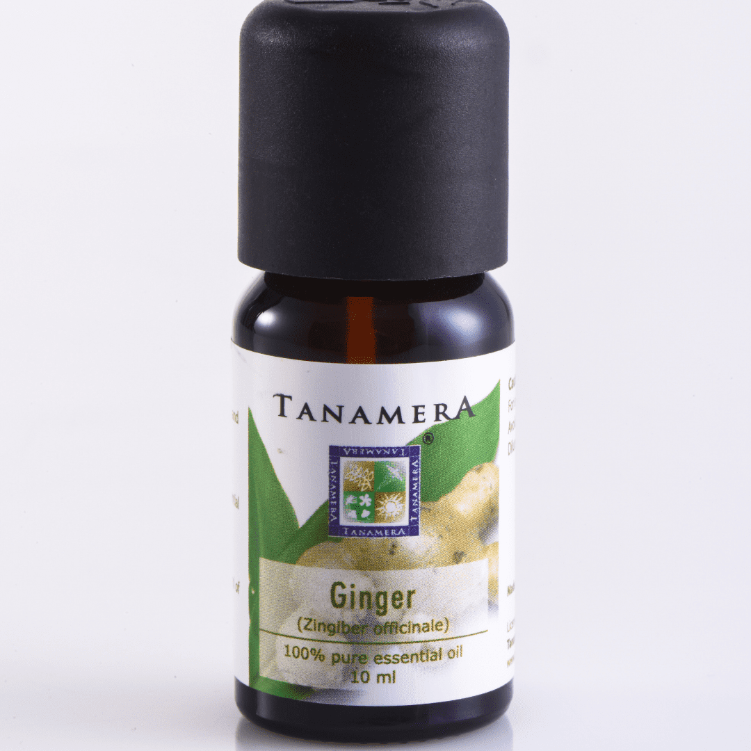 Ginger-1-1.png