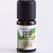 Ginger Essential Oil