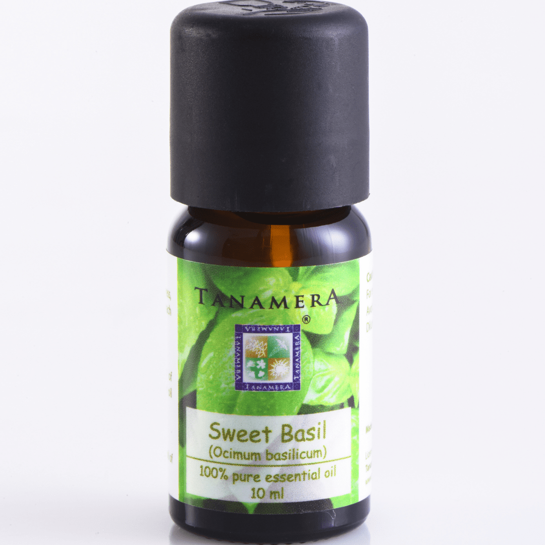 Sweet-basil.png