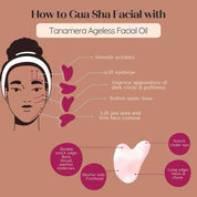 Ageless Facial Oil