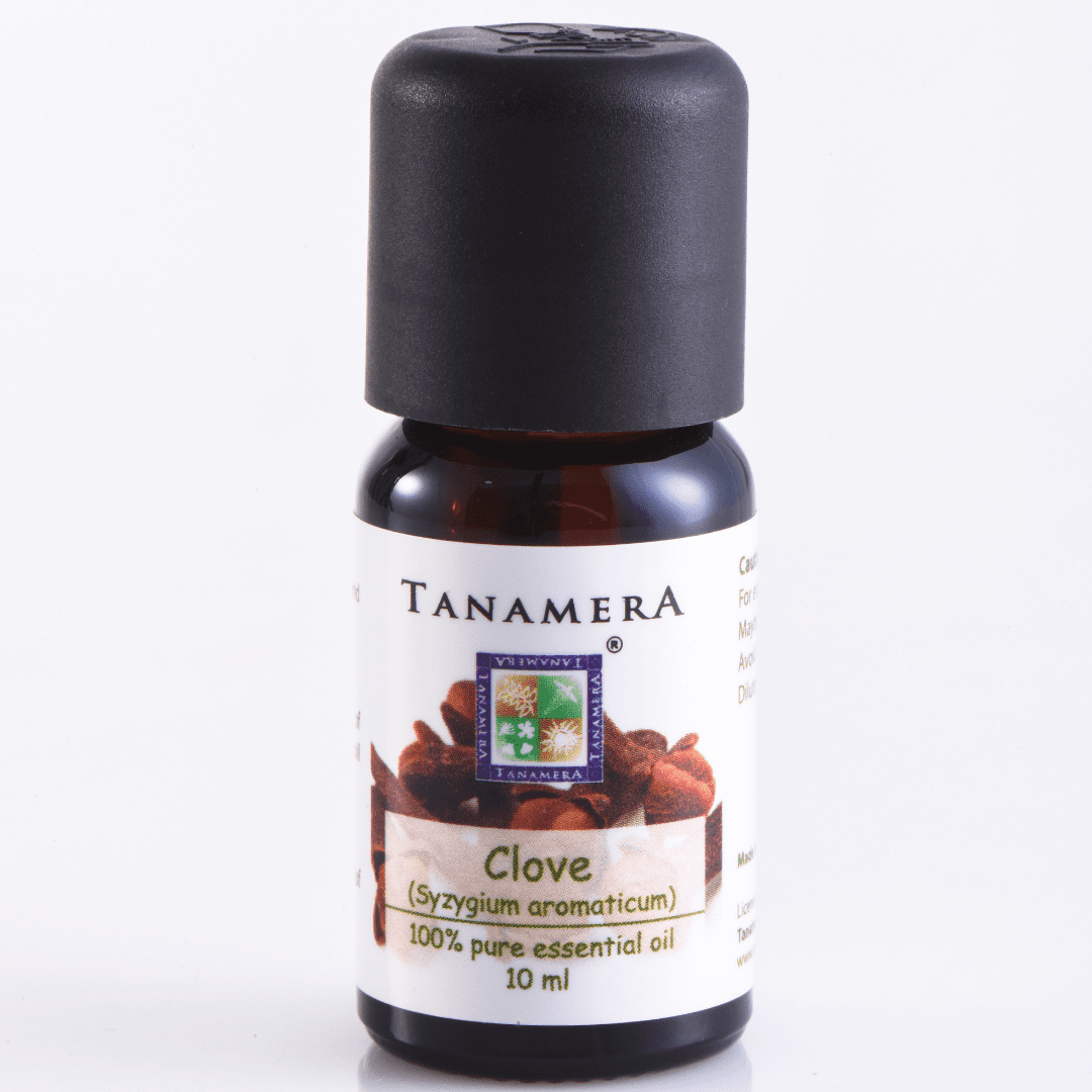 clove.png