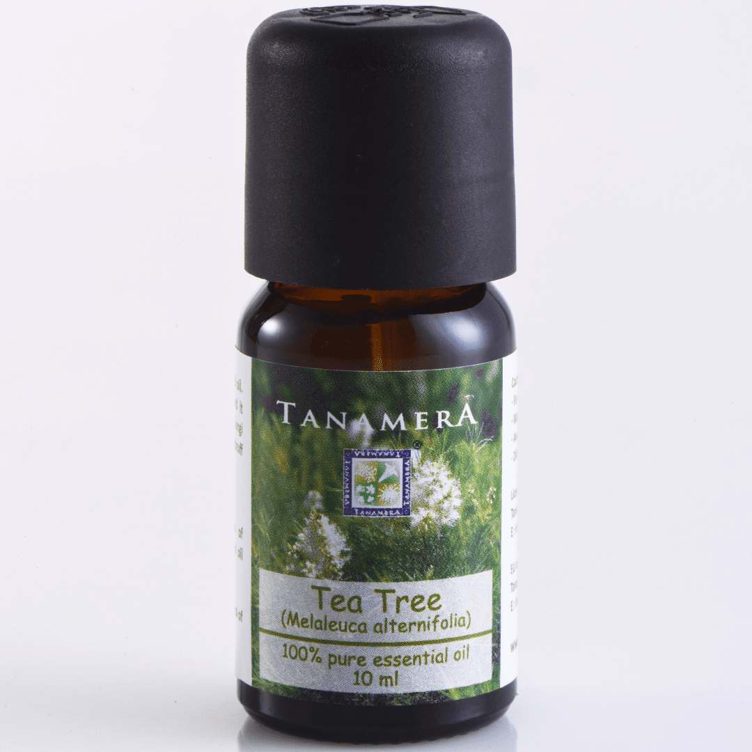 tea-tree.png