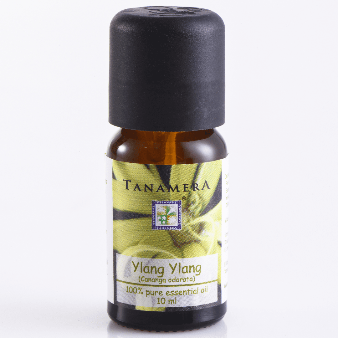 ylang-ylang.png